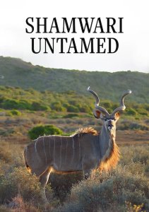 Аниме онлайн