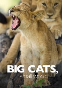 Большие кошки, маленький мир, Сезон 1